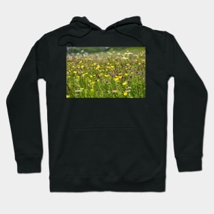 Reef Machiar Hoodie